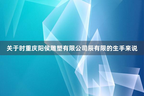 关于时重庆阳侯雕塑有限公司辰有限的生手来说